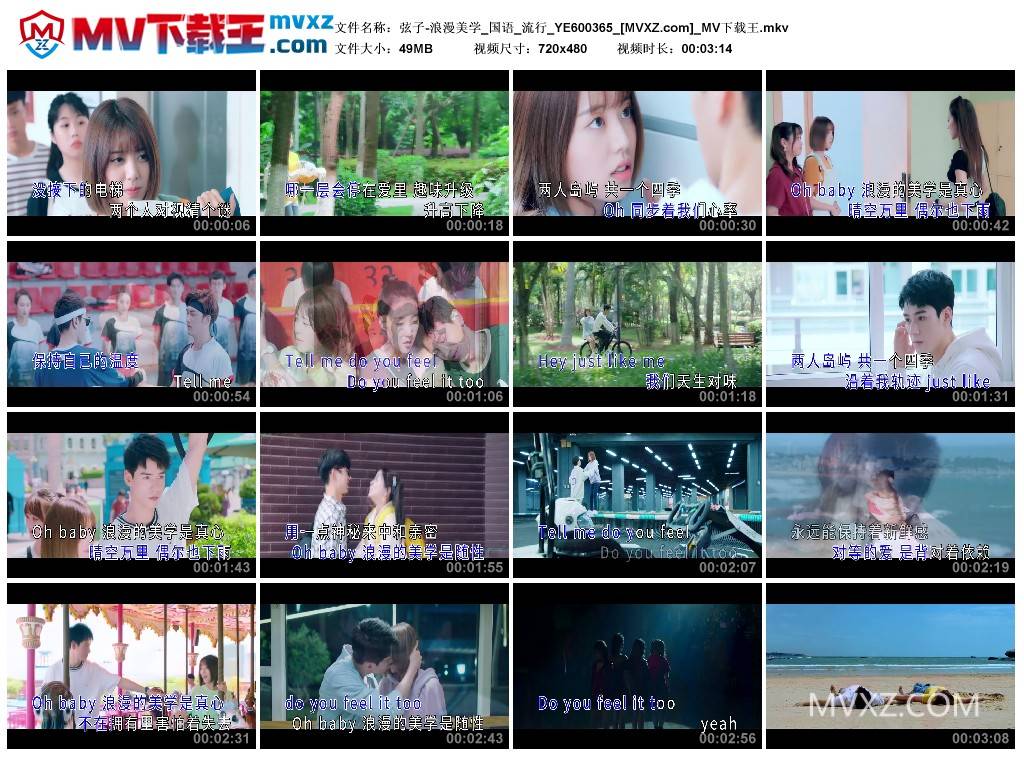 弦子-浪漫美学_国语_流行_YE600365